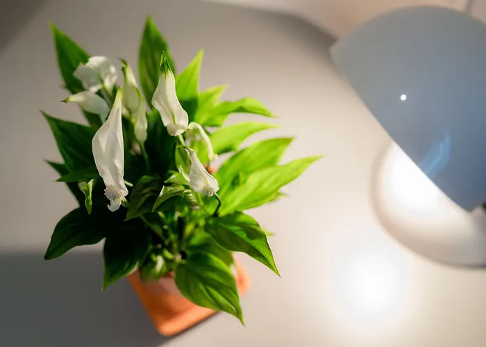 Florjanckov Hram Hotel Lublana