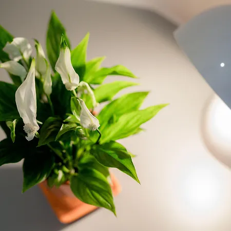 Florjanckov Hram Hotel Liubliana