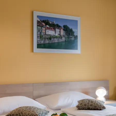 호텔 플로리안치코우 흐람 3*